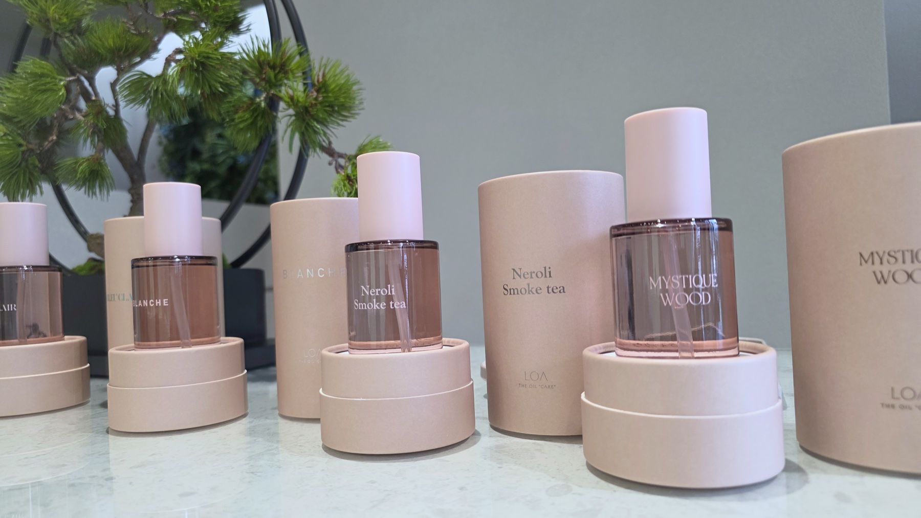 植物のそばに並ぶヘアオイル